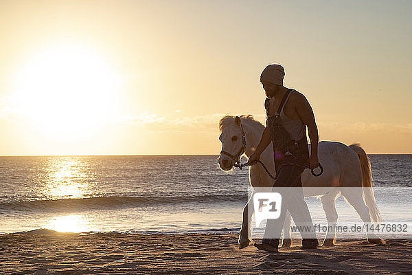 Spanien  Tarifa  Mann geht mit Pony am Strand bei Sonnenuntergang