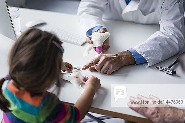 Arzt erklärt Zahnmodell einem Mädchen am Schreibtisch in der medizinischen Praxis