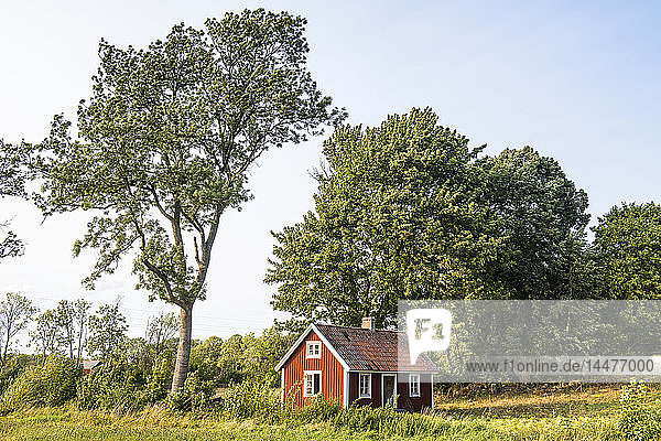 Schweden  Oeland  rotes Holzhaus