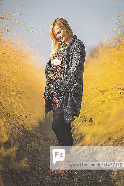 Lächelnde schwangere Frau steht im Herbst im Spargelfeld