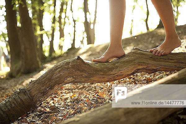 Nahaufnahme der Füße einer Frau im Wald beim Balancieren auf einem Baumstamm