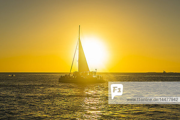 USA  Florida  Key West  Segelboot mit Touristen bei Sonnenuntergang