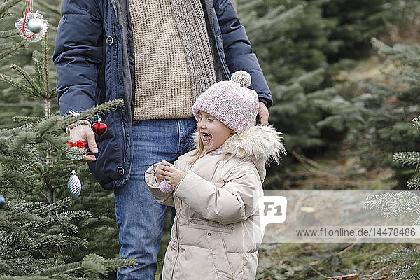 Glückliches Mädchen mit Vater schmückt Weihnachtsbaum auf einer Plantage