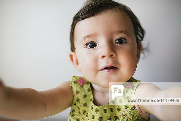 Portrait of baby girl stretching out her arms on white background