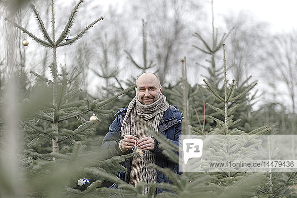 Porträt eines lächelnden Mannes  der den Weihnachtsbaum auf einer Plantage schmückt