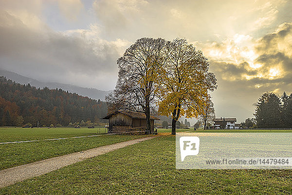 Deutschland  Bayern  Garmisch-Partenkirchen  Wiese im Herbst