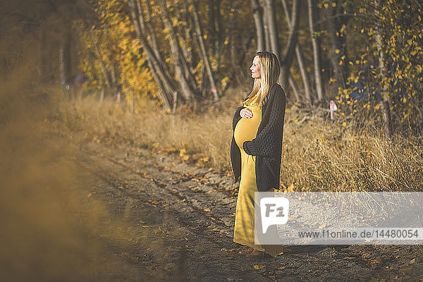 Schwangere Frau steht im Herbst auf Waldpfad