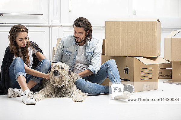 Ehepaar mit Hund und Pappkartons auf dem Boden sitzend in neuem Zuhause