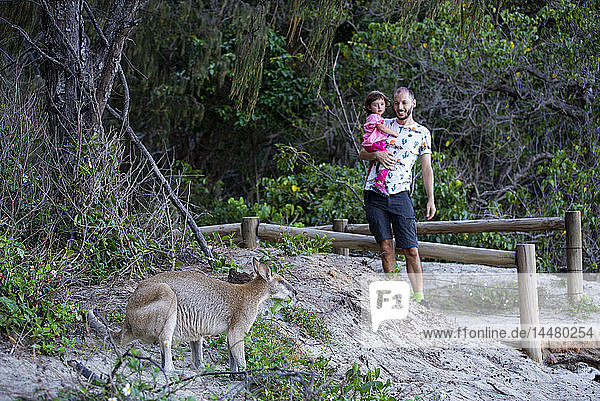 Australia  Queensland  Mackay  Cape Hillsborough National Park  father and daughter with a kangaroo