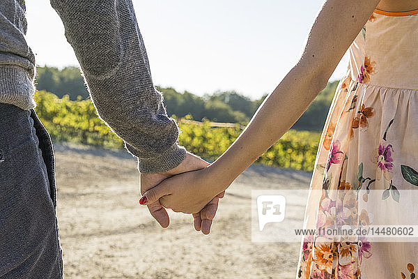 Italien  Toskana  Siena  Nahaufnahme eines Paares Hand in Hand in einem Weinberg