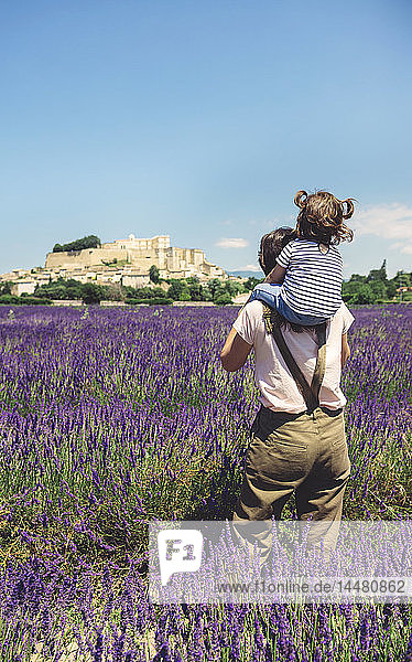 Frankreich  Grignan  Rückenansicht der im Lavendelfeld stehenden Mutter mit der kleinen Tochter auf den Schultern