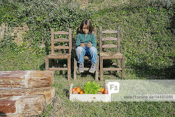 Junge sitzt im Garten mit Gemüsekiste und spielt Spiele auf seinem Smartphone