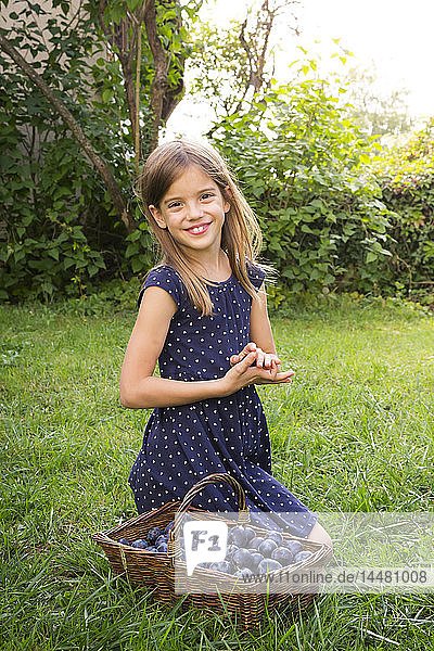 Porträt eines lächelnden Mädchens auf einer Wiese mit einem Weidenkorb mit Pflaumen