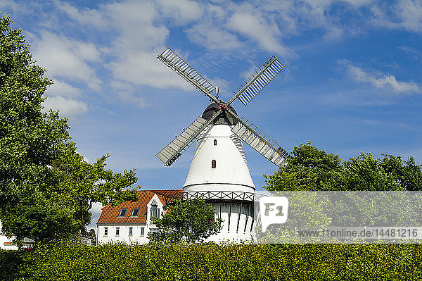 Dänemark Jütland Sonderborg Windmühle