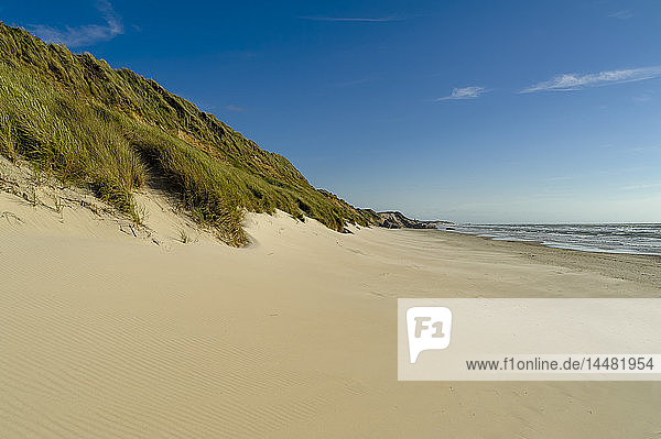 Dänemark Jütland Lokken Düne und Strand