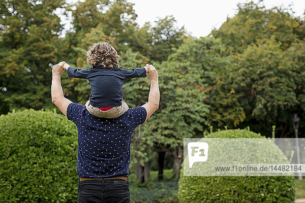 Rückansicht eines Vaters  der seinen Sohn im Park auf den Schultern trägt