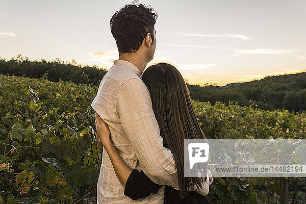 Italien  Toskana  Siena  junges Paar umarmt sich bei Sonnenuntergang in einem Weinberg