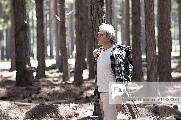 Mature man hiking in forest