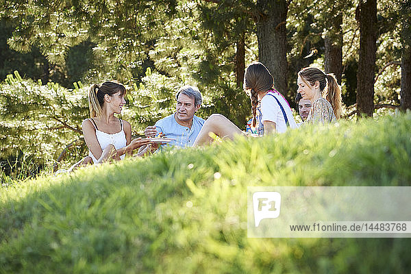 Family enjoying picnic