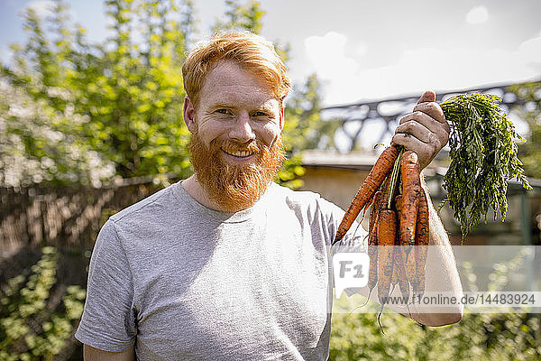 Portrait lächelnder Mann mit Bart bei der Karottenernte im sonnigen Gemüsegarten