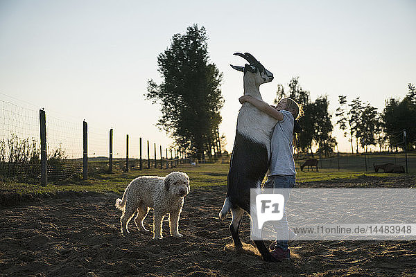 Mädchen tanzt mit Ziege in ländlichem Feld