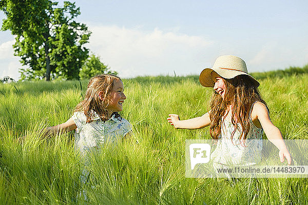Glückliche  sorglose Schwestern in einem sonnigen  idyllischen  grünen Weizenfeld