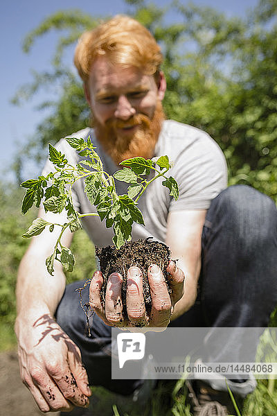 Man with beard holding sapling in sunny garden