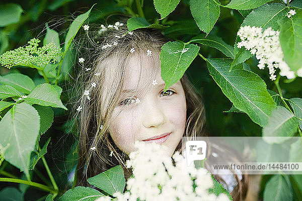 Portrait Mädchen mit Blumen im Haar in blühendem Busch