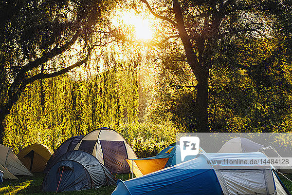 Zelte unter sonnigen Bäumen auf dem Campingplatz