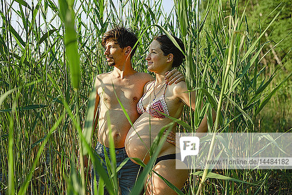 Ein schwangeres Paar in Bikini und Badehose steht in einem grünen Maisfeld