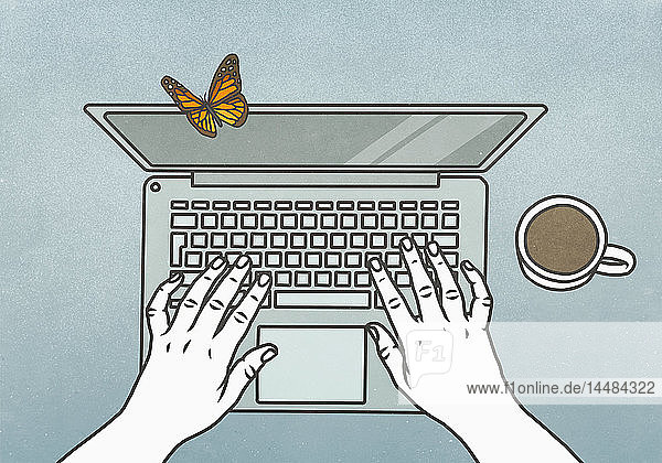 Blick von oben: Schmetterling landet auf Laptop