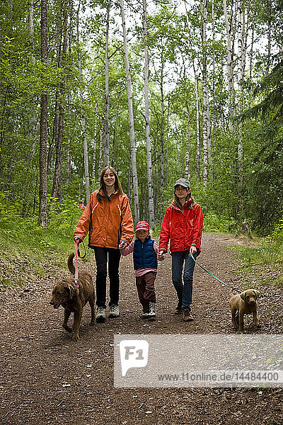 Familie,  die mit ihren Hunden auf dem Weg zu den Thunderbird Falls spazieren geht,  Eklutna,  Southcentral Alaska,  Sommer