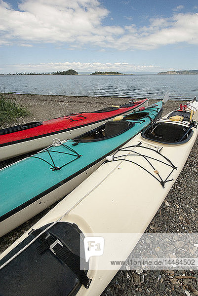 Sea Kayaks rest on the shore of Kasistna Bay during a sunny day  Kenai Peninsula  Southcentral Alaska  Summer