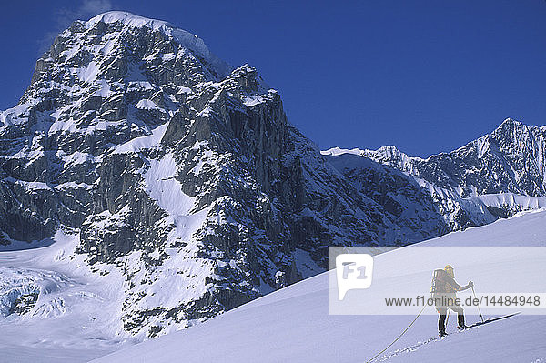 Bergsteiger auf alpinen Tourenskiern  angeseilt und beim Skifahren im Ruth Glacier Amphitheater mit Mt. Dan Beard im Hintergrund  Denali National Park  Alaska
