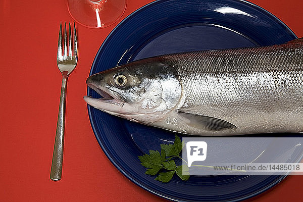 Fresh  wild Alaskan sockeye (red) salmon shown on a dinner plate with fork.