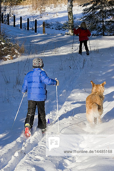 Zwei junge Mädchen laufen Langlaufski  während ein Golden Retriever mit ihnen mitläuft Ely Minnesota Winter