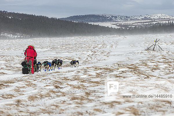 Nathan Schroeder of Minnesota runs on the trail in 30 mph winds and through tussocks several miles after leaving the Unalakleet checkpoint during Iditarod 2015