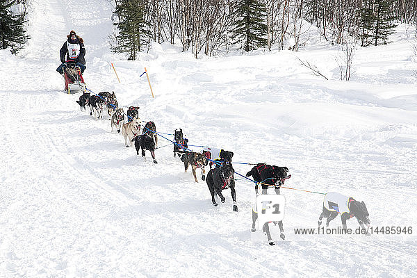 Ken Anderson at the Restart of the 2009 Iditarod in Willow Alaska