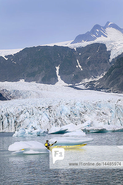 Frau Kajakfahrer in der Nähe von Pederson Glacier Kenai Fjords NP AK KP Sommer