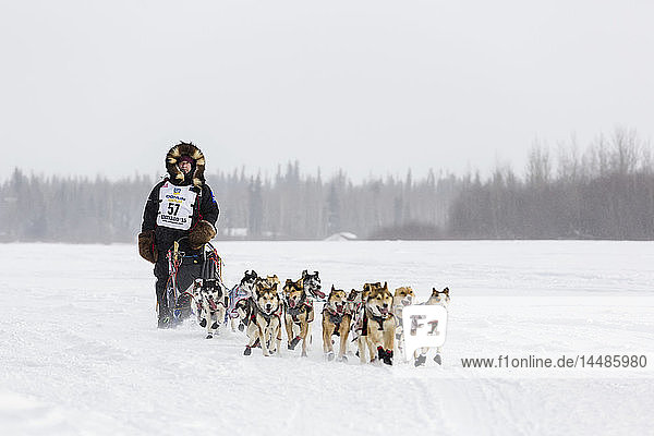 Musher Allen Moore nimmt am Iditarod Trail Schlittenhunderennen 2015 auf dem Chena River teil  nachdem er den Neustart in Fairbanks im Landesinneren Alaskas verlassen hat.