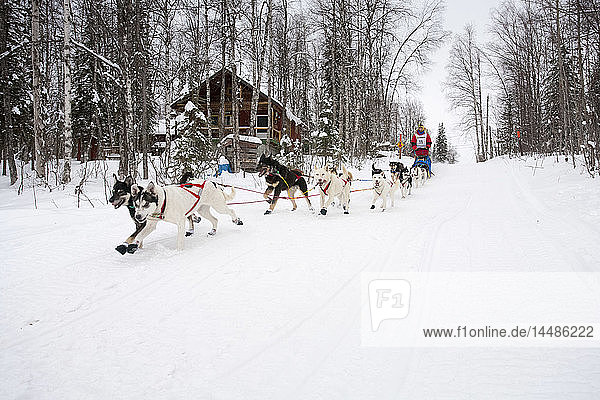Jeremiah Klejka on the trail just prior to finishing the 2010 Jr. Iditarod Sled Dog Race in 4th place  Willow  Southcentral AK