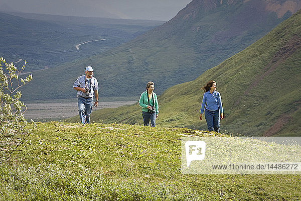 Mature couple and middle age woman hike on tundra in the Toklat river area of Denali National Park  Alaska