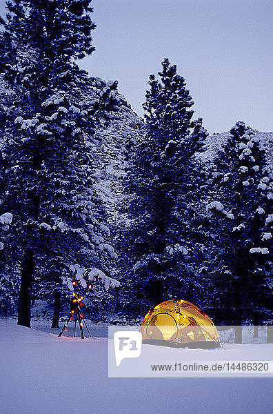 Wintercamping im beleuchteten Zelt mit Weihnachtsbeleuchtung Colorado
