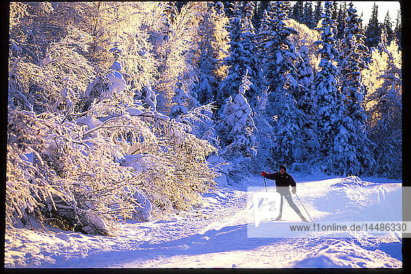 Skilangläufer auf der Loipe Vereiste Bäume AK Winter