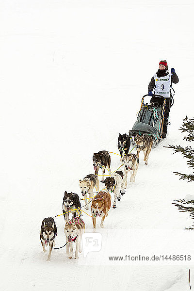 Merissa Osmar on the trail shortly before winning the 2010 Junior Iditarod Sled Dog Race  Willow  Southcentral AK