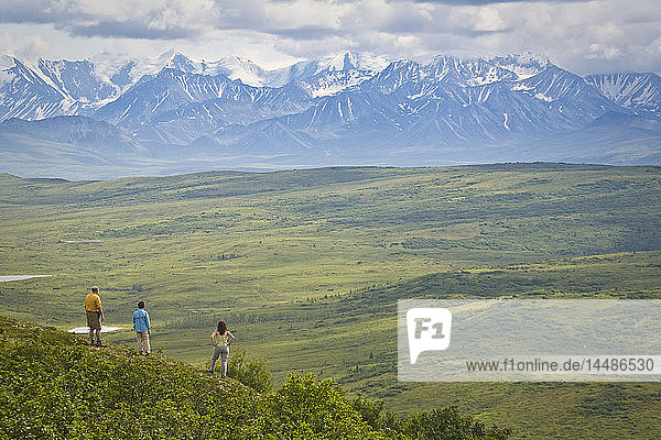 Wanderer genießen die Aussicht in der Nähe des Wonder Lake im Denali National Park  Alaska  im Sommer