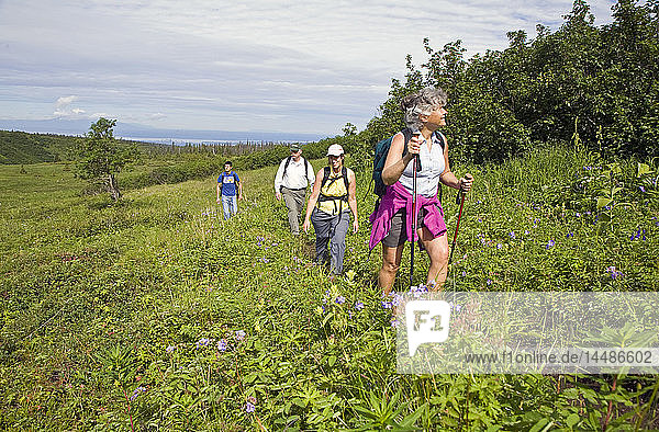 Eine Gruppe von Männern und Frauen wandert im Sommer auf dem Williwaw Lake Trail im Chugach State Park in der Nähe von Anchorage  Alaska