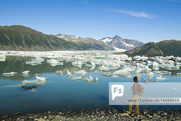 Eine Wanderin macht eine Pause  um den Bear Glacier vom Ufer des Bear Glacier Lake im Kenai Fjords National Park  Kenai Peninsula  Southcentral Alaska  Sommer  zu betrachten.