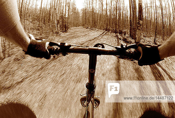 Die Perspektive eines Mountainbikers beim Reiten in Peters Creek AK
