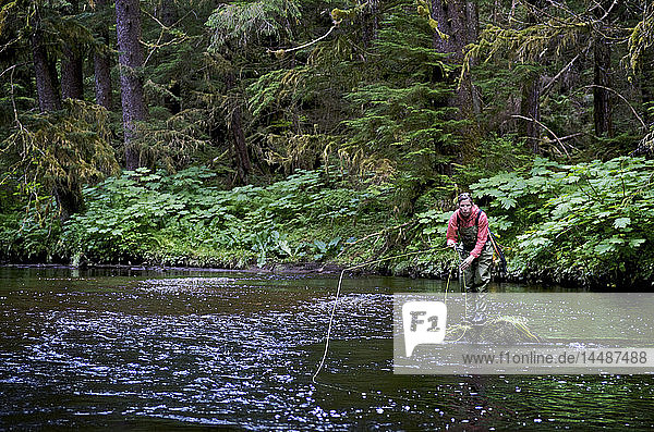 Woman fly fishing on Ward Creek in the Tongass National Forest near Ketchikan  Alaska
